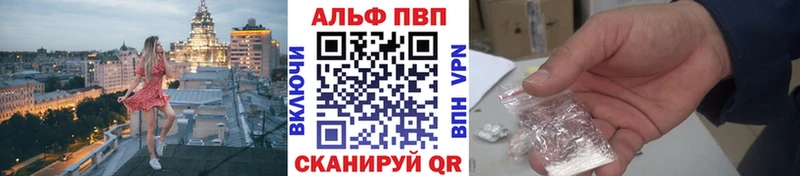 Альфа ПВП СК Магадан