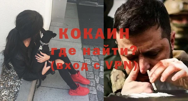 дурь Ельня