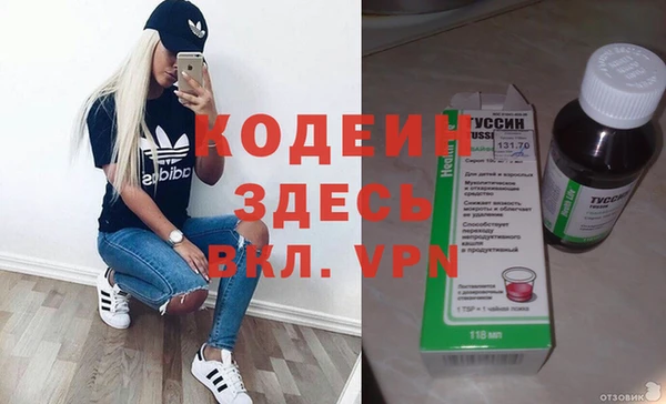 дурь Ельня